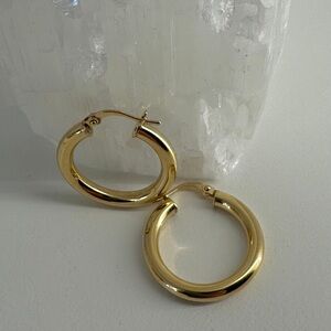 Elegant Gold Hoop Earrings